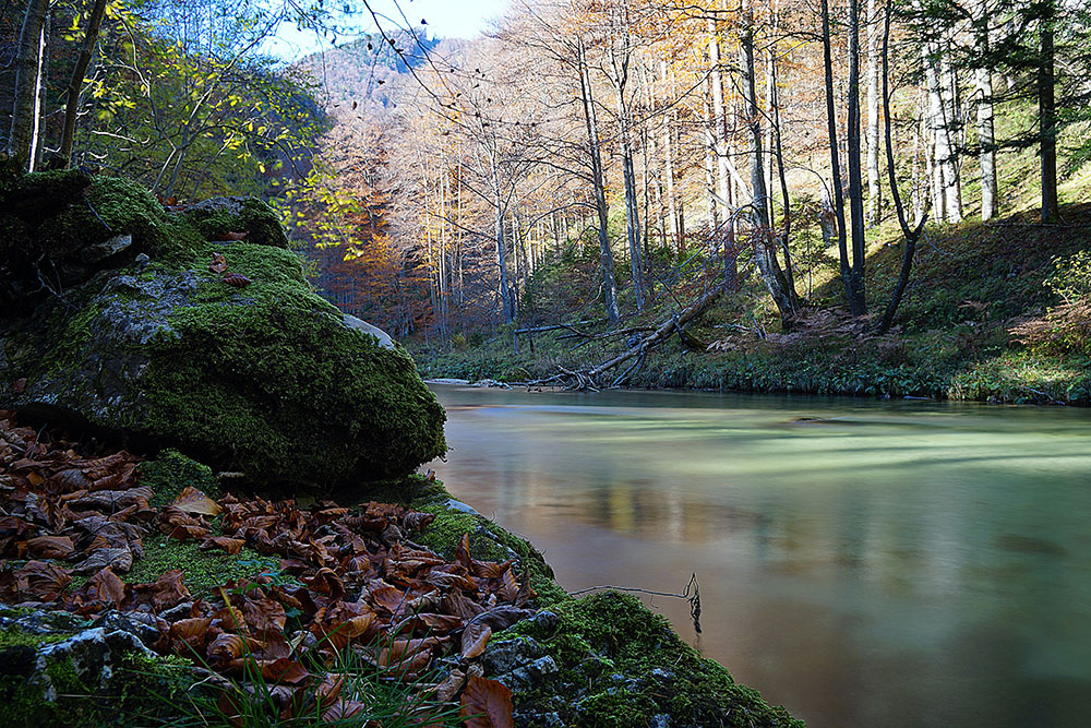 Schwarza Langzeibelichtung im Wald
