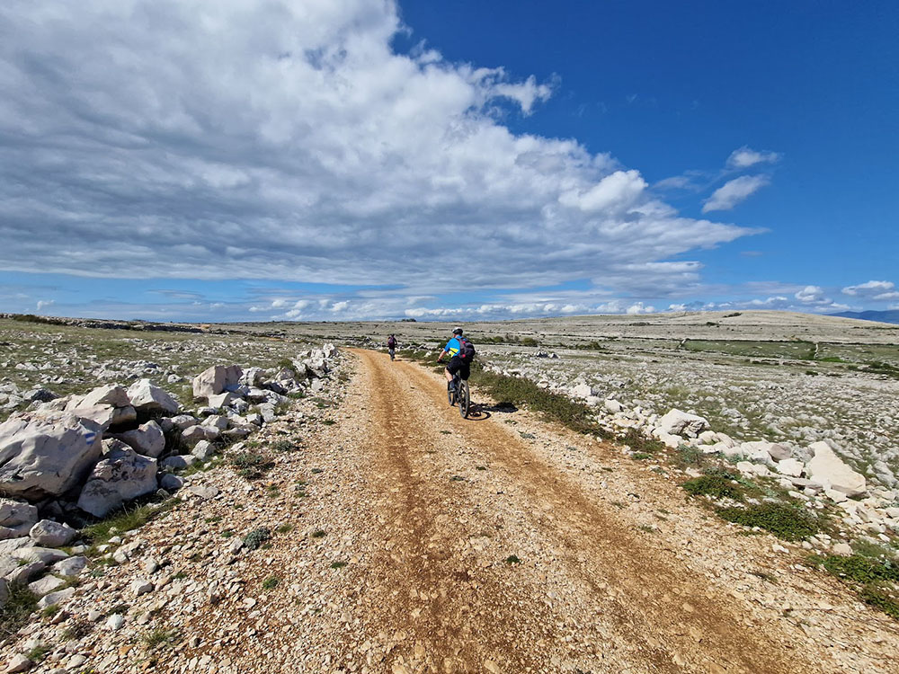 2 Mountainbiker auf Forstrasse Mondlandschaft