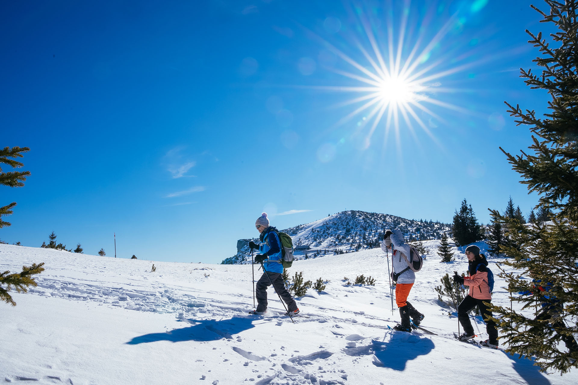 Gruppe Schneeschuhwandern Raxplateau