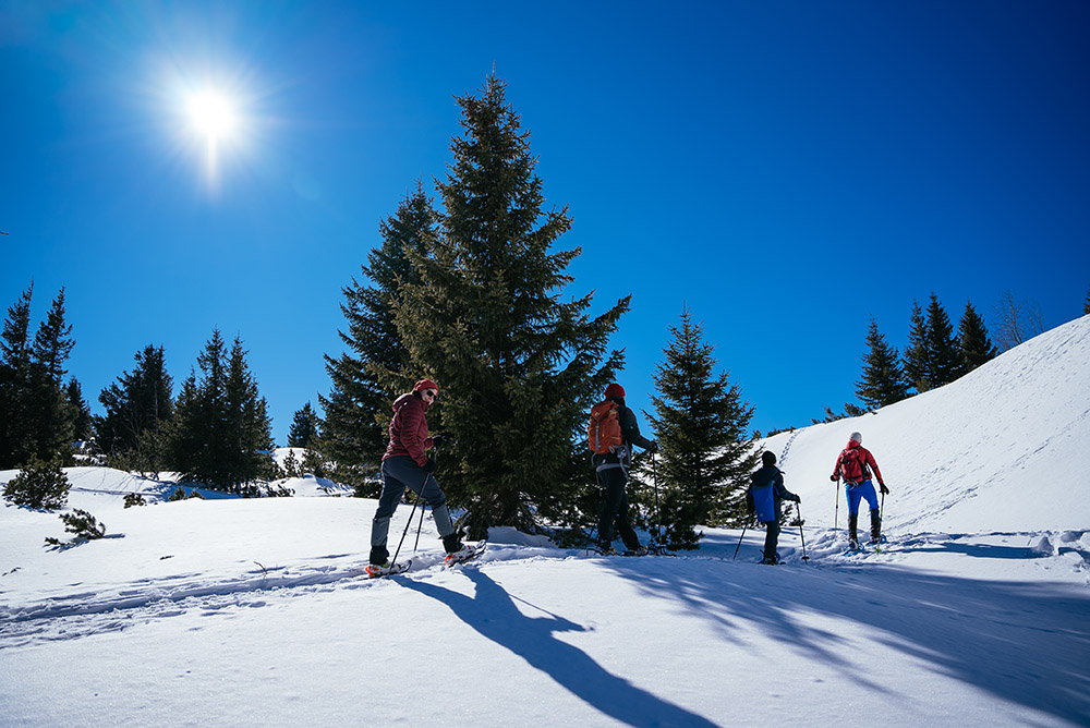 Schneeschuhwandern Sonnwendstein Erzkogel Hirschenkogel