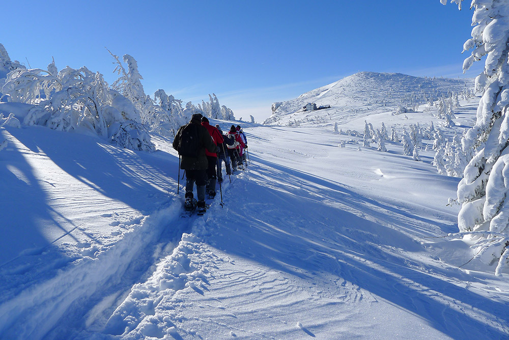 Rax Ottohaus Jakoskogel Schneeschuhwandern
