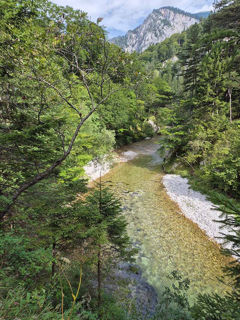 höllental-flussverlauf-schwarza-berg-im-hintergrund