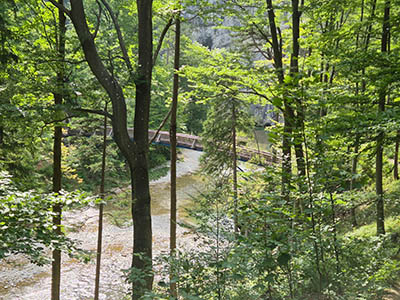 höllental-wander-brücke-bäume