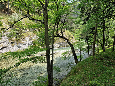 hölltental-buchen-schwarza