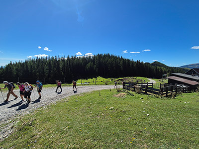 polleroshuette-hoiderhuette