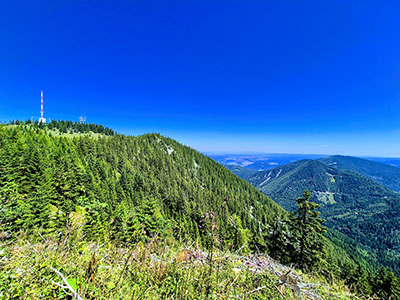 sonnwendstein-sender-grosser-otter