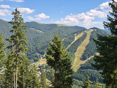 skipsten-sommer-hirschenkogel